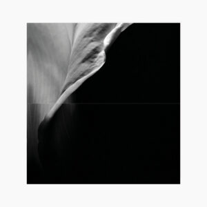Rouwbrief close-up bloem zwart-wit