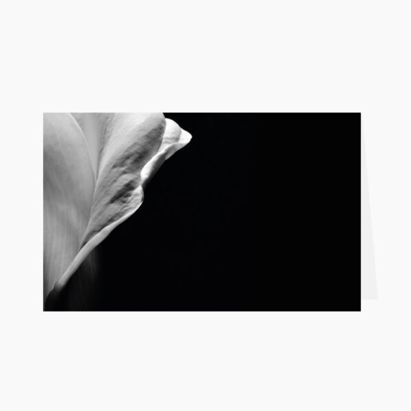 rouwbrief close-up bloem zwart-wit